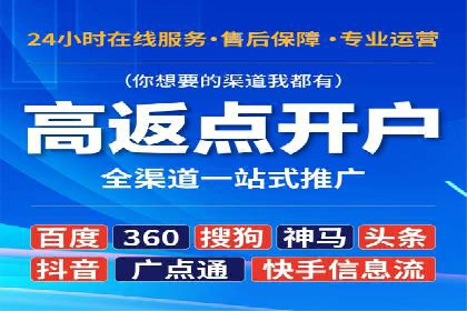 百度广告推广实战案例解析
